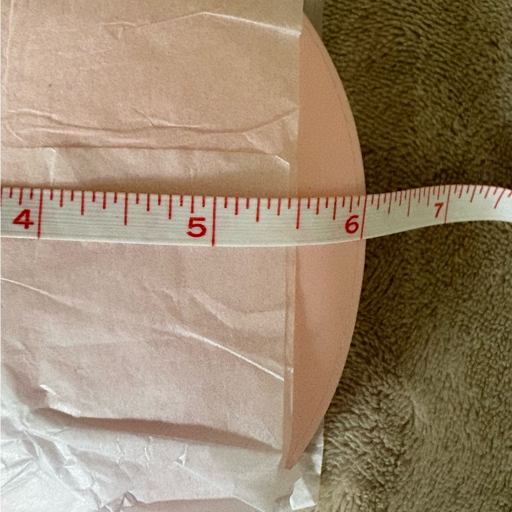 Dior Soft Pink Silicone Circular Case with box and Dior Zipper Pull Charm, NEW! - Picture 6 of 7